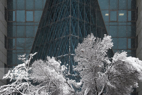 گزارش تصویری | بارش برف کم سابقه در مشهد