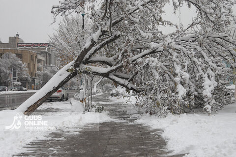 گزارش تصویری | بارش برف کم سابقه در مشهد