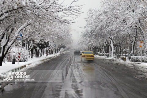 گزارش تصویری | بارش برف کم سابقه در مشهد