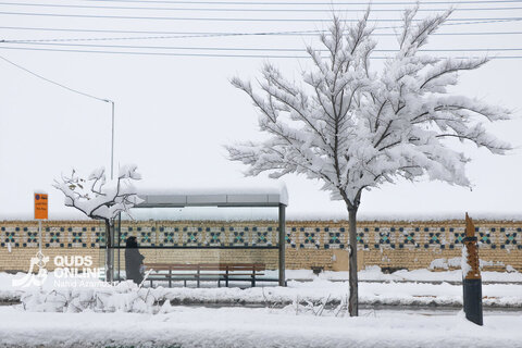 بارش برف کم سابقه در مشهد