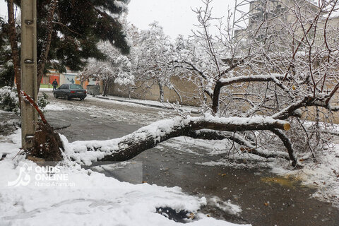 بارش برف کم سابقه در مشهد