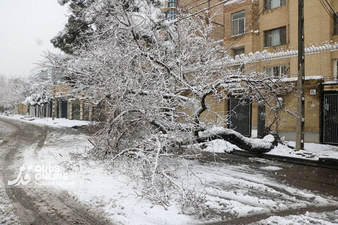 بارش برف کم سابقه در مشهد