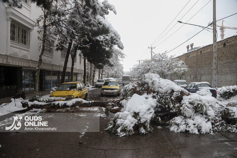 بارش برف کم سابقه در مشهد