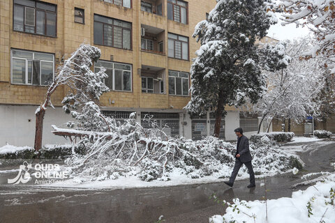 بارش برف کم سابقه در مشهد