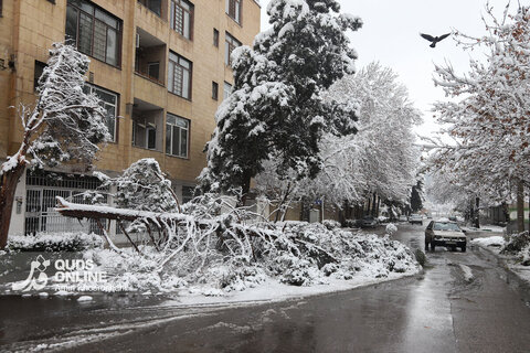 بارش برف کم سابقه در مشهد