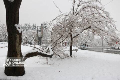 بارش برف کم سابقه در مشهد