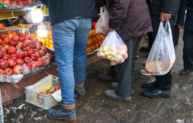 افزایش ۲۰ درصدی قیمت صیفی‌جات و میوه‌های پاییزی در مشهد