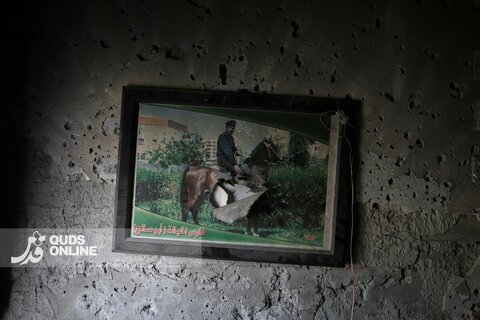 تلاش برای زندگی در ویرانه‌های غزه