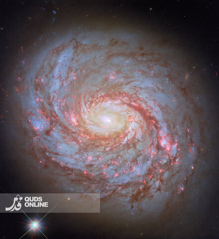 شگفت‌ انگیز‌ترین عکس‌های نجومی سال 2025