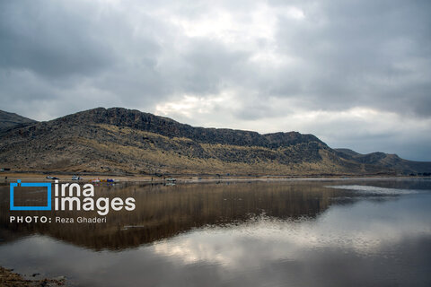 تولد دوباره دریاچه مهارلو؛ بازگشت فلامینگوها با بارش‌های پاییزی