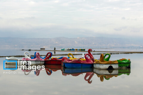 تولد دوباره دریاچه مهارلو؛ بازگشت فلامینگوها با بارش‌های پاییزی