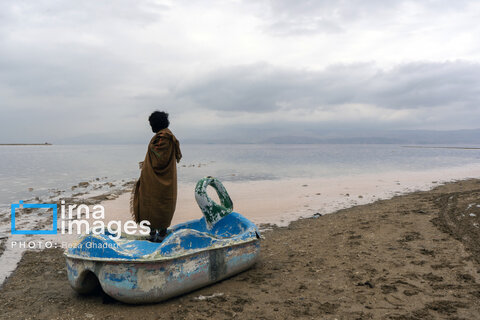 تولد دوباره دریاچه مهارلو؛ بازگشت فلامینگوها با بارش‌های پاییزی