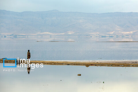 تولد دوباره دریاچه مهارلو؛ بازگشت فلامینگوها با بارش‌های پاییزی