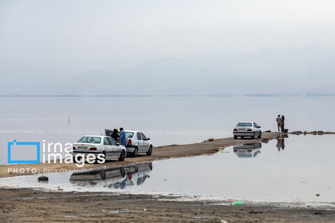 تولد دوباره دریاچه مهارلو؛ بازگشت فلامینگوها با بارش‌های پاییزی