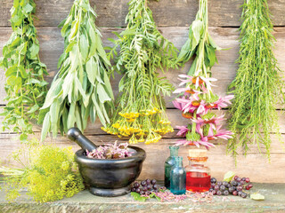 «گیاهان دارویی» کیمیای اقتصاد کشاورزی در دوره خشکسالی