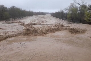 تخریب و آسیب ۱۷۶۷ واحد مسکونی در سیل فارس