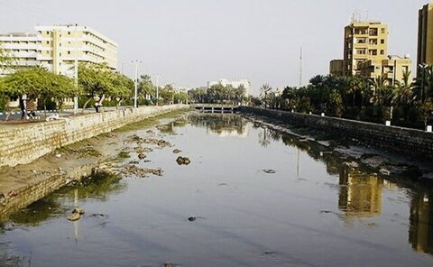 ضرورت کنترل پشه ناقل تب دنگی پس از بارندگی‌ها در هرمزگان