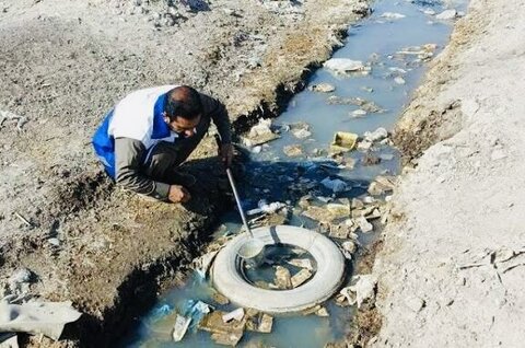 ضرورت کنترل پشه ناقل تب دنگی پس از بارندگی‌ها در هرمزگان