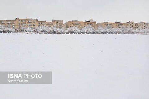 بارش شدید برف - مشهد