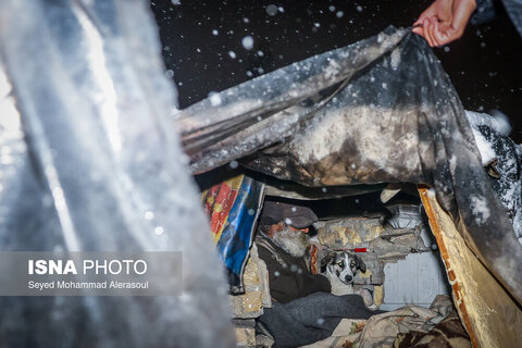 گرمخانه سبز مشهد