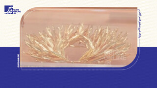 فیلم | تاج المپیکی حسین رضازاده