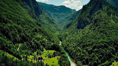 جنگل‌داری نوین با مشارکت جوامع محلی در برنامه هفتم شتاب می‌گیرد