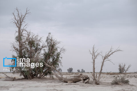 قصه غصه یک روستا