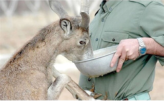 نذر طبیعت کنید!