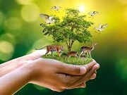 ارائه کلیات «برنامه جامع حفاظت از تنوع زیستی کشور» در شورای عالی محیط‌ زیست