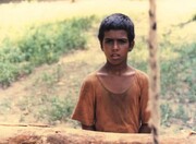 پخش «باشو غریبه کوچک» از شبکه نمایش به یاد کوچ بیضایی