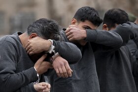 دستگیری دو سارق و یک نفر مالخر در شهرستان درمیان