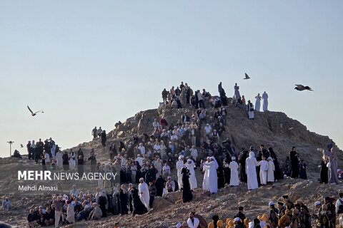 تصاویری زیبا از کاروان عمره دانشگاهیان