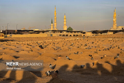 تصاویری زیبا از کاروان عمره دانشگاهیان