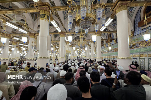 تصاویری زیبا از کاروان عمره دانشگاهیان