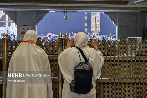 تصاویری زیبا از کاروان عمره دانشگاهیان