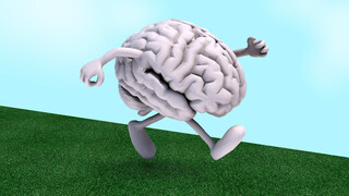 ساده‌ترین راه‌های فعال نگه‌داشتن حافظه و دوری از آلزایمر/ تقویت کننده‌های بافت مغز کدامند؟