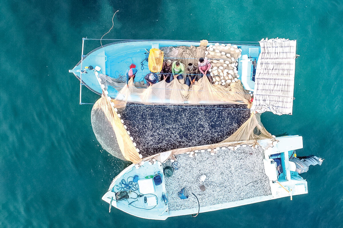 تور پهن مشکلات برای صیادان هرمزگانی