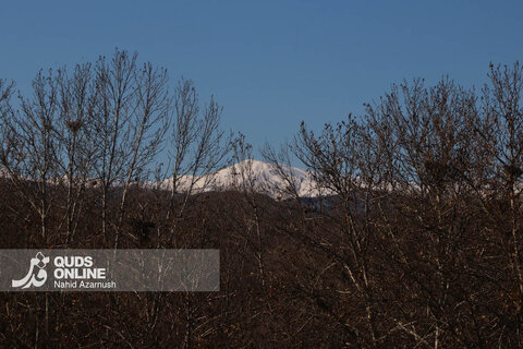 هوای پاک مشهد