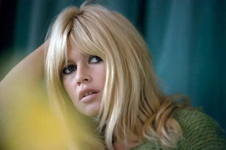 دولت فرانسه وصیت بریژیت باردو را رد کرد