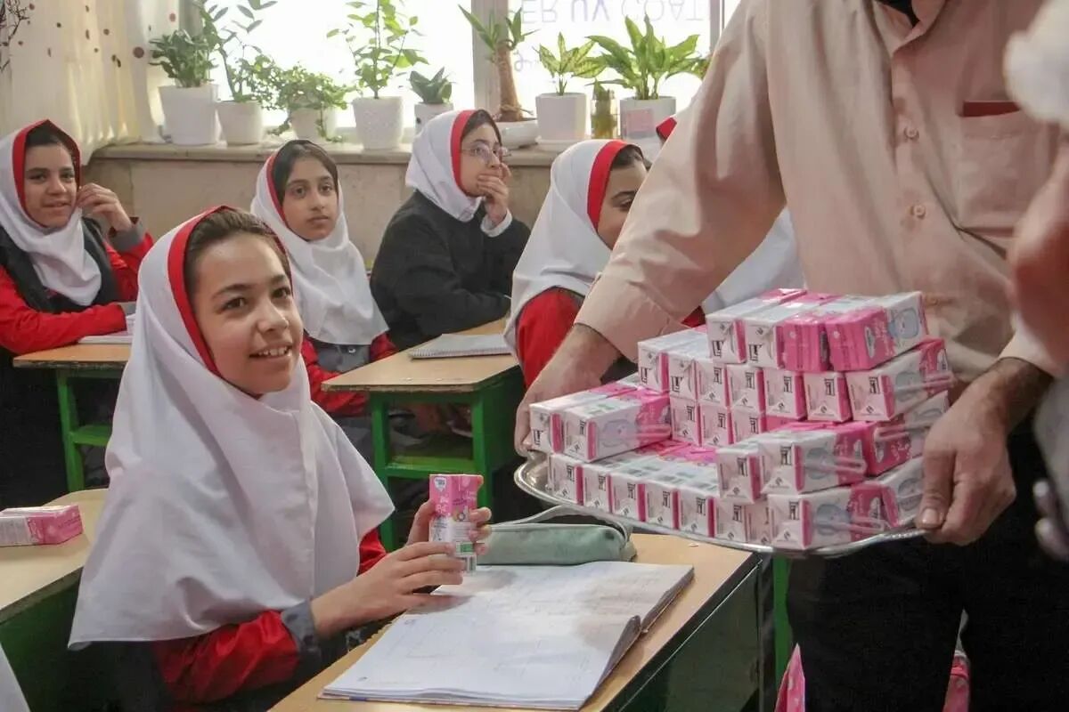 رشد بیش از ۵۰ درصدی بودجه شیر مدرسه در لایحه سال ۱۴۰۵