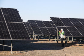 گزارش تصویری | افتتاح بزرگترین مزرعه خورشیدی دولت در مشهد