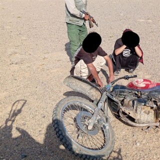 کشف ۱۵ تله زنده‌گیری و تشکیل پرونده قضایی برای صیادان هوبره در خواف