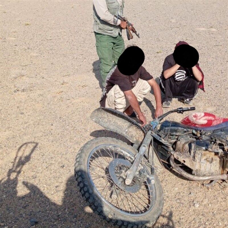 کشف ۱۵ تله زنده‌گیری و تشکیل پرونده قضایی برای صیادان هوبره در خواف