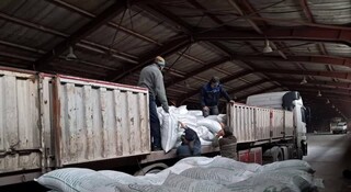 آذربایجان شرقی با توزیع کود پتاس به جنگ خشکی رفت