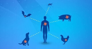 افزایش بیماری‌های مشترک انسان و حیوان به دنبال تغییر اقلیم