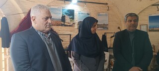۳۰ درصد اعتبارات اشتغال امسال خراسان رضوی به حوزه بانوان اختصاص دارد