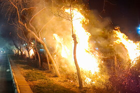 خسارت به  ۸۰۰ اصل درخت در آتش اغتشاشات مشهد