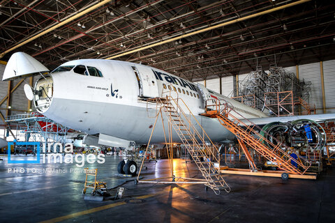 پیش از پرواز در آشیانه