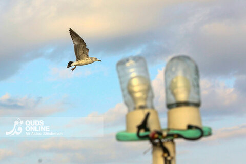 گزارش تصویری | چابهار سرزمین ناشناخته