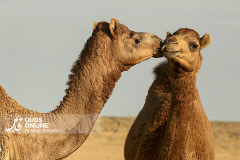 گزارش تصویری | چابهار سرزمین ناشناخته